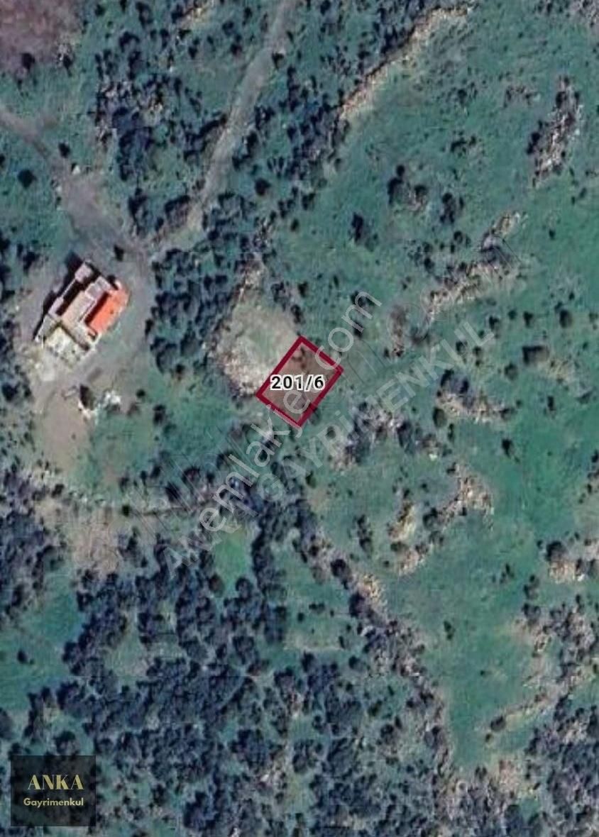 Anka Gayrimenkul Den Dikili Bademli Yatırımlık Arsa - Görsel 4