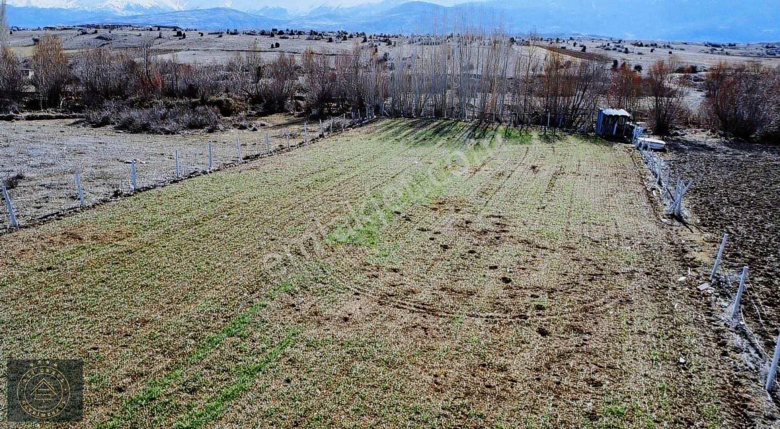 Seydişehir Kavak Satılık Tarla Suriye'ye Döneceğimden Dolayı Acil Satılık Bahçe