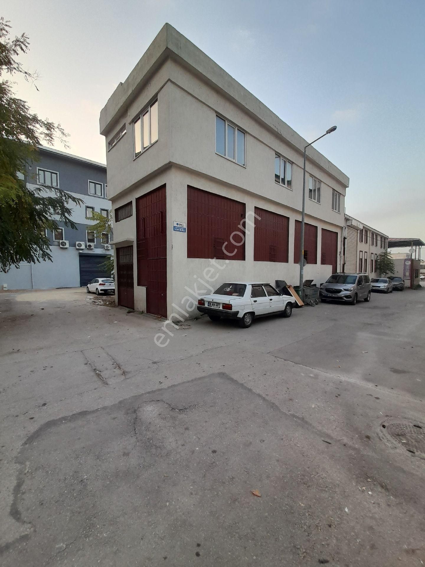 Vişne De Satılık İşyeri - Görsel 3