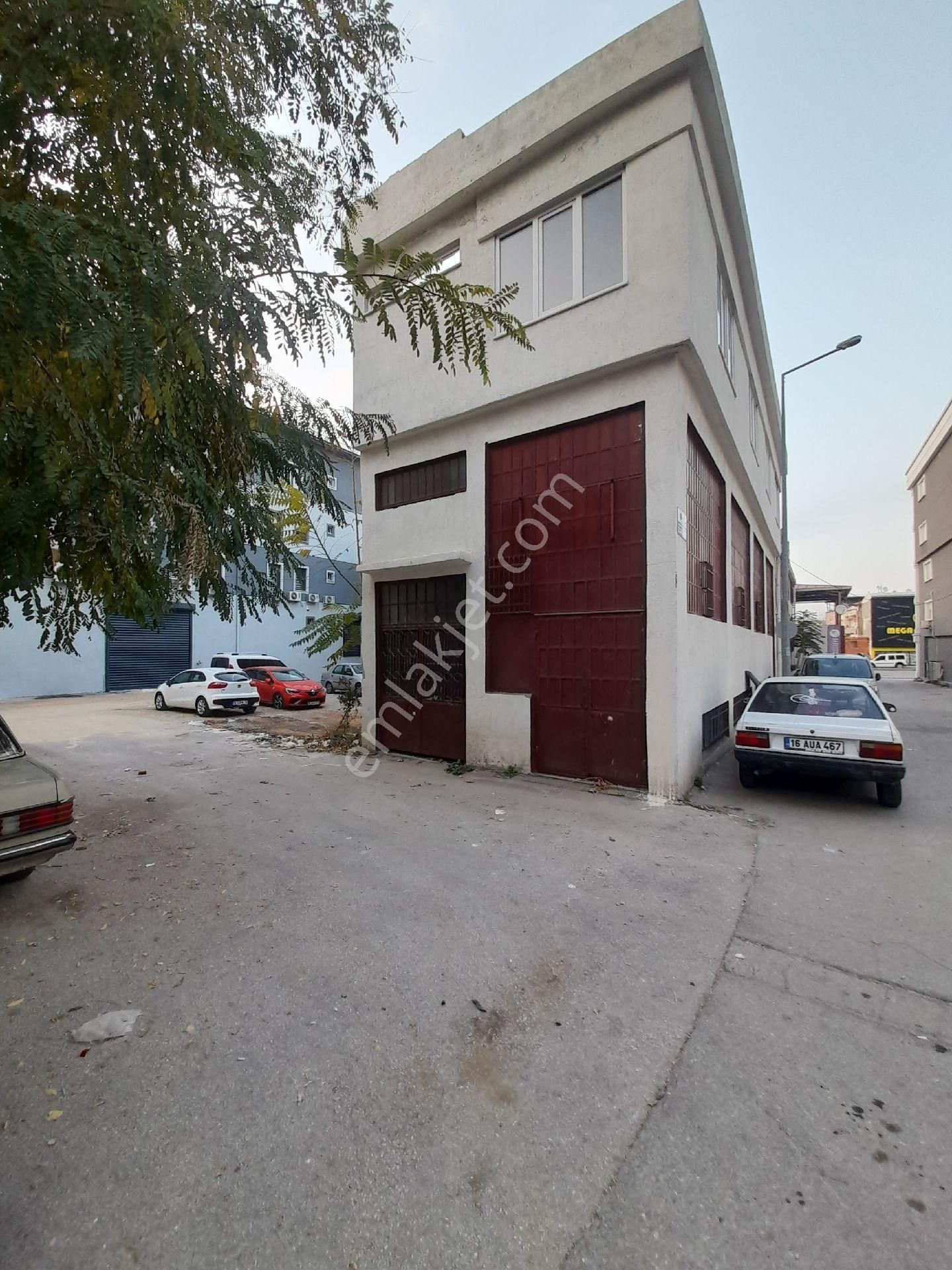 Vişne De Satılık İşyeri - Görsel 4