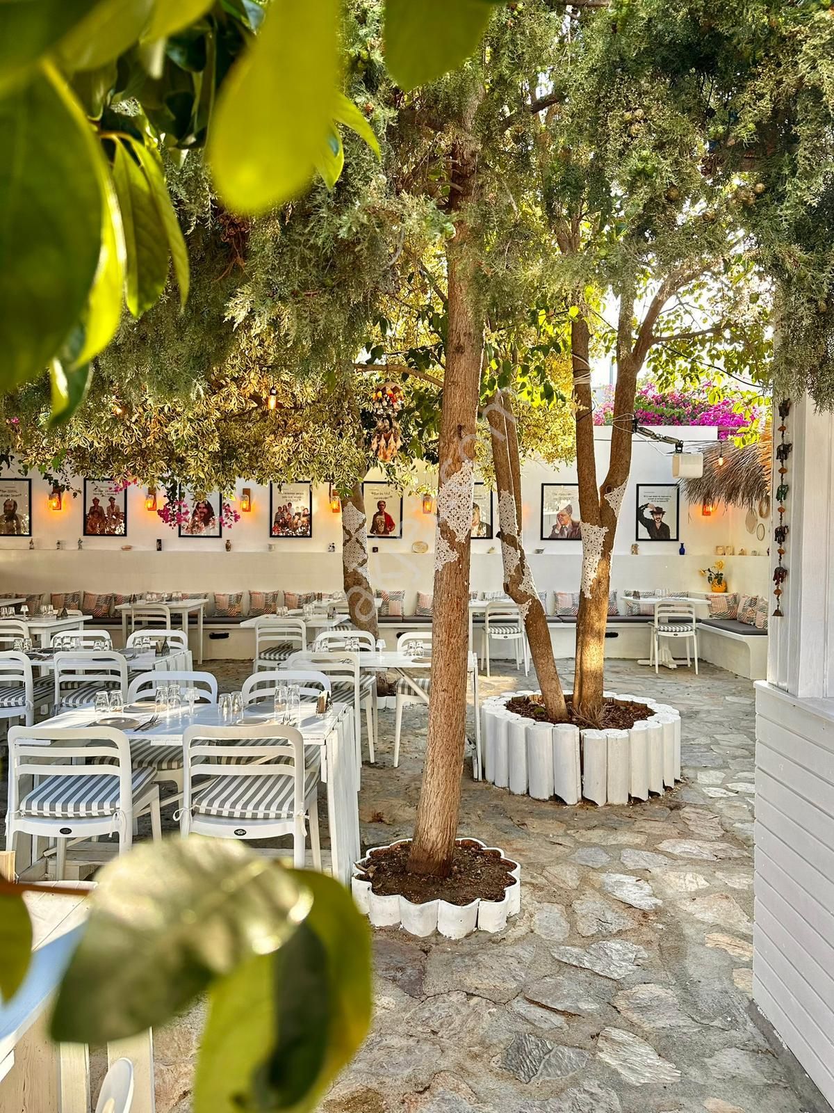 Datça Merkezde Yüksek Cirolu, Marka Değeri Yüksek Hazır İşletme - Görsel 3