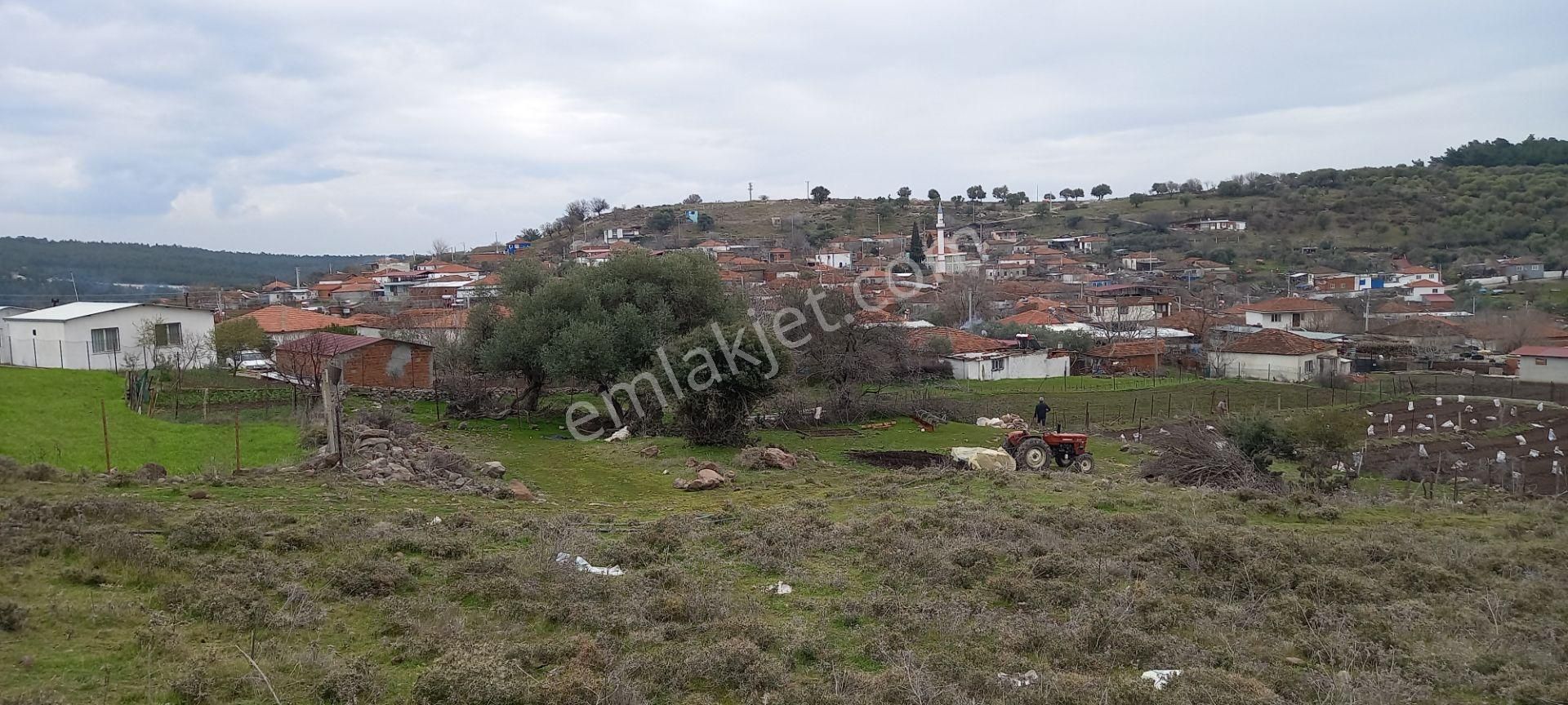 Şehzadeler Kağan Satılık Konut İmarlı Manisa Kağanda Satılık 495 M2 İmarlı Arsa Projesi Hazır 1.250.000 Tl