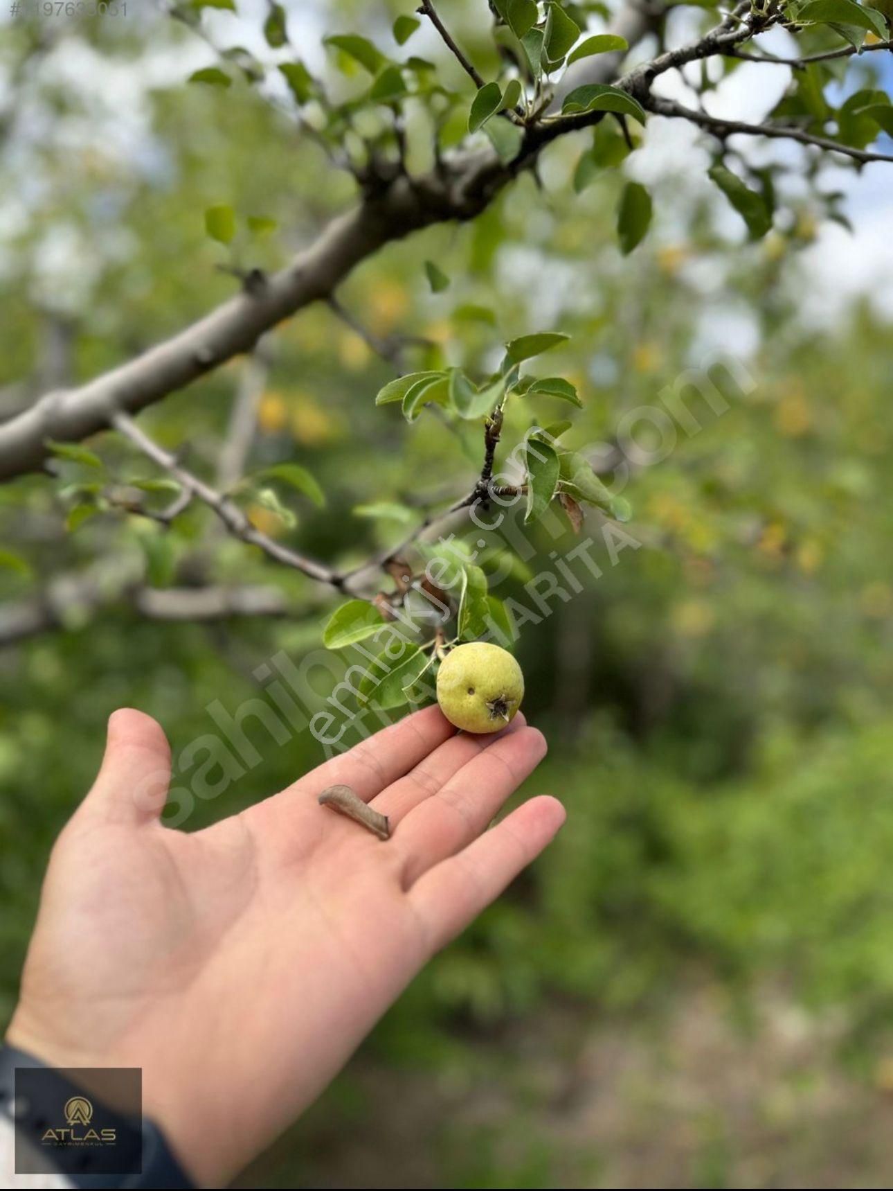 Korkuteli Uzunoluk Satılık Konut İmarlı Uzunolukmah.-3kataimar-altyapı-elk-su-doğalgaz-satılık-parsel