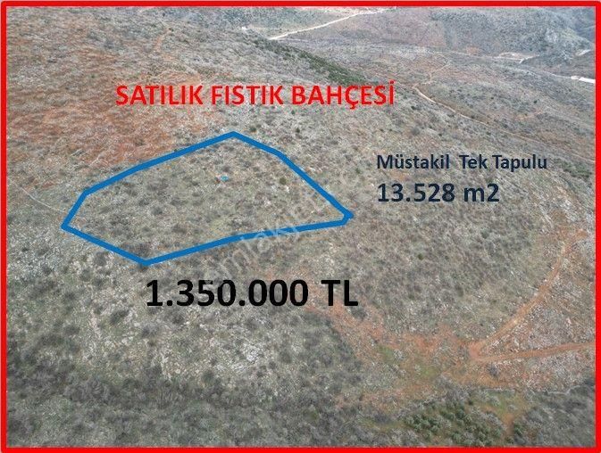 Cb'den Uzunsöğüt'te 13.528 M2 Müstakil Tapulu Satılık Fıstık Bahçesi