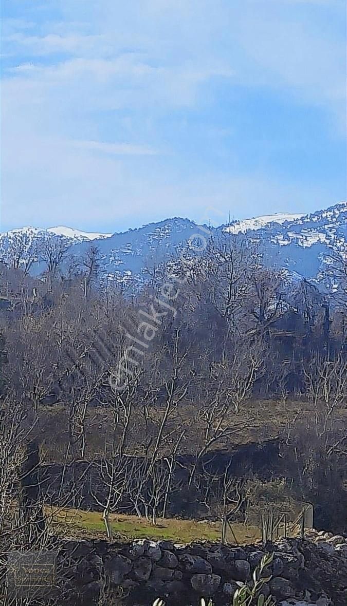 Konyaaltı Geyikbayırı Satılık Tarla Antalya Konyaaltı Geyikbayırı'nda Hisseli Arazi