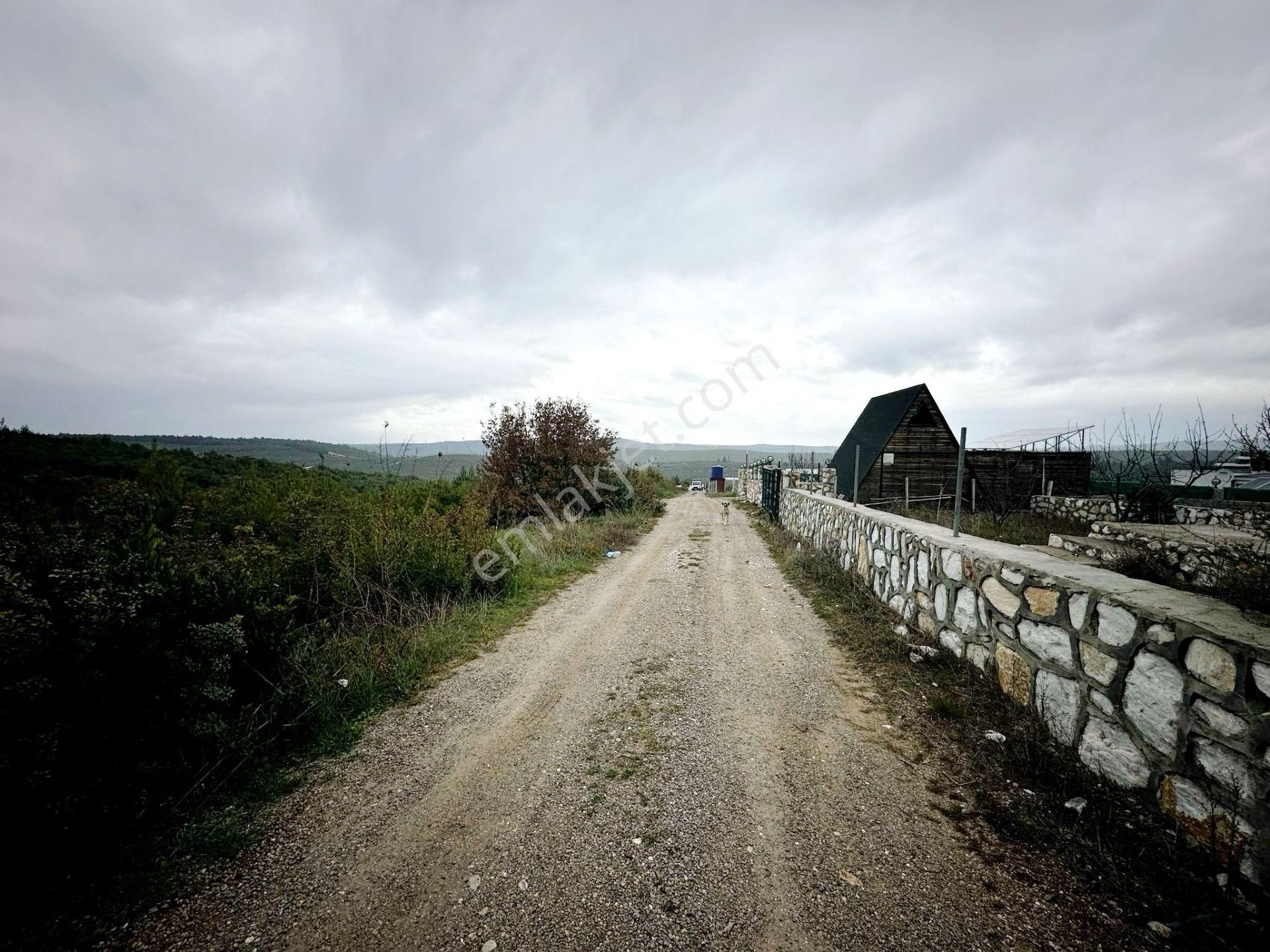 Doğayla İç İçe, Yaşama Hazır Hisseli Arsa! - Görsel 26