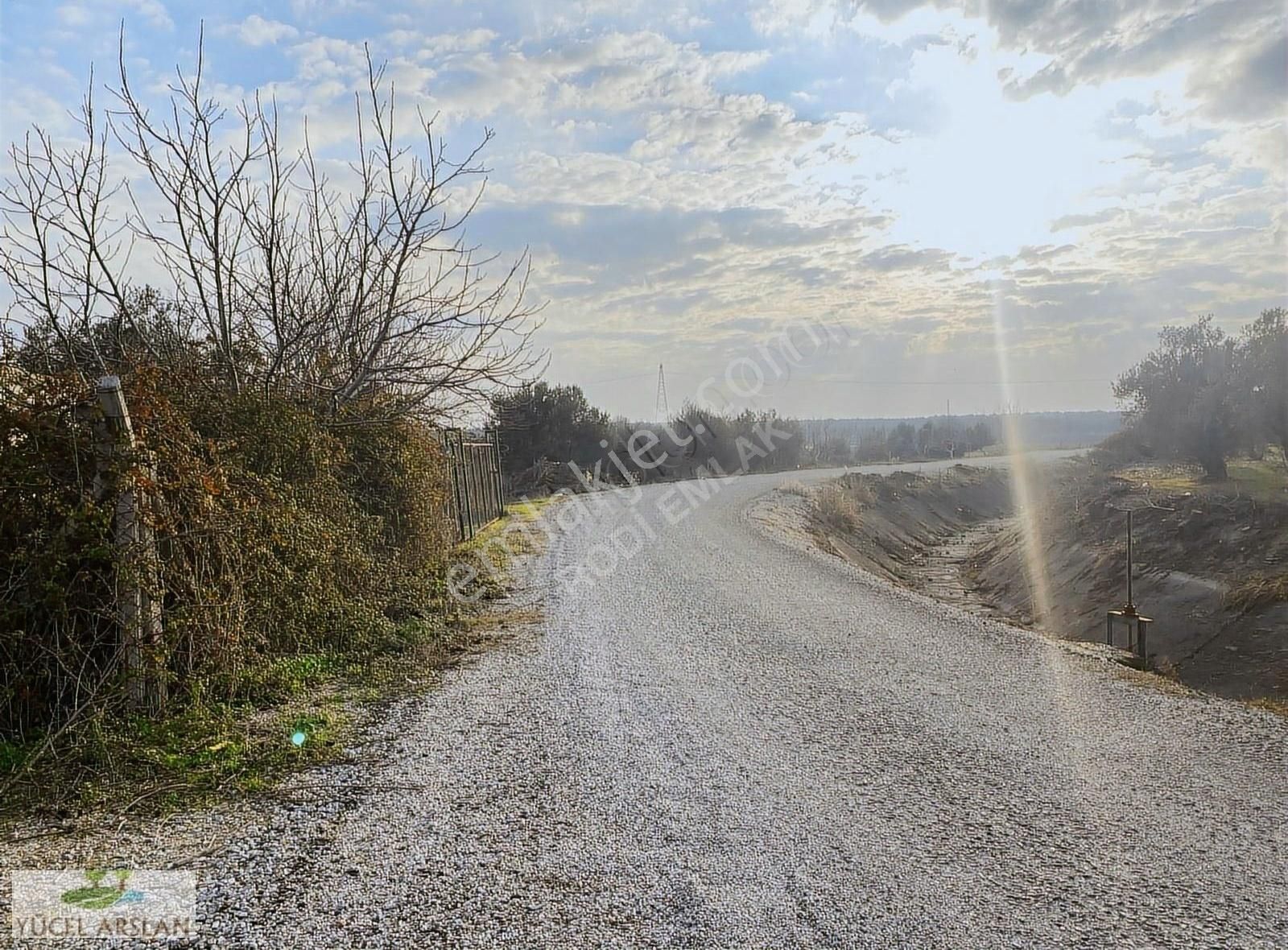 Menemen Yıldırım Satılık Zeytinlik Menemen Türkelide Satılık 6000m2 Zeytinlik Asfalt Yolla Sıfır