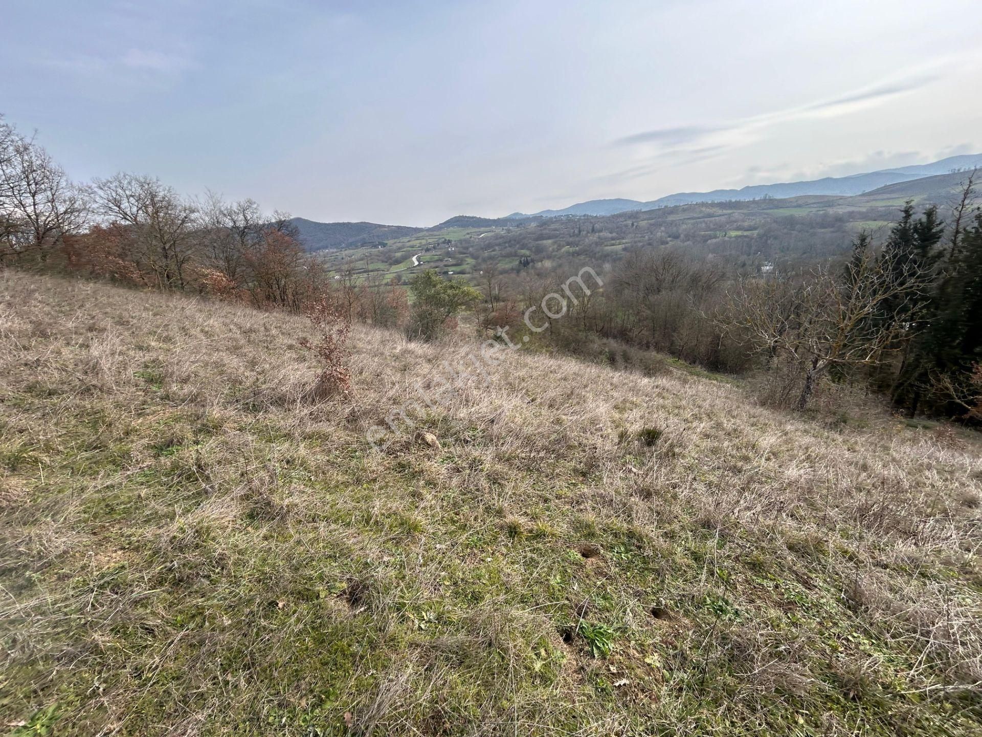 Karamürsel Yalakdere Satılık Tarla Kocaeli Karamürsel Yalakdere 3535 M2 Satılık Tarla