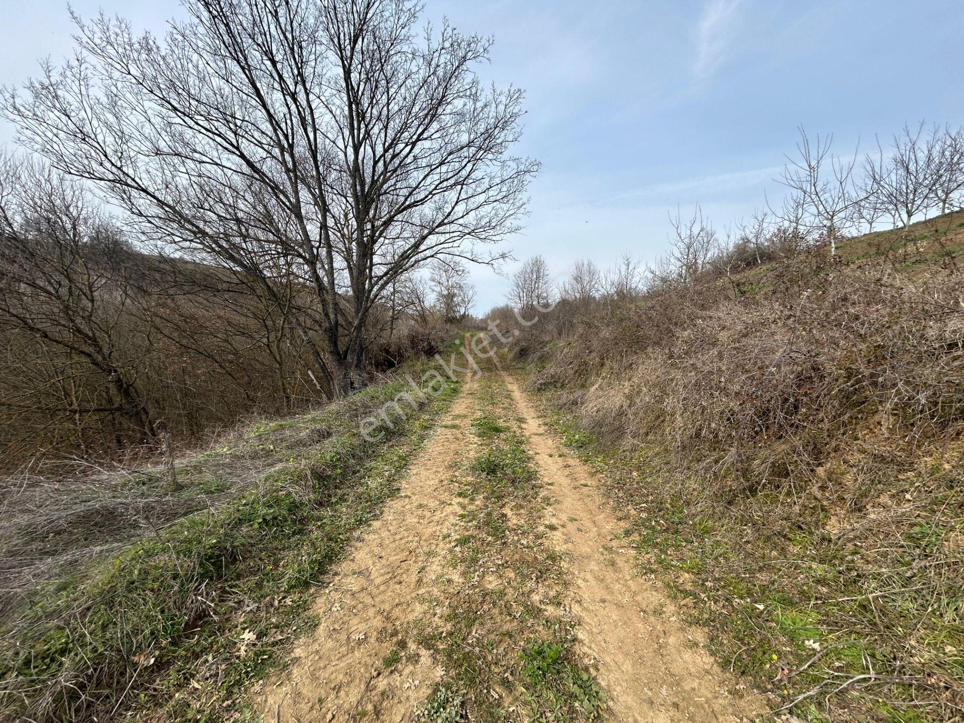 Kocaeli Karamürsel Yalakdere 3535 M2 Satılık Tarla - Görsel 10