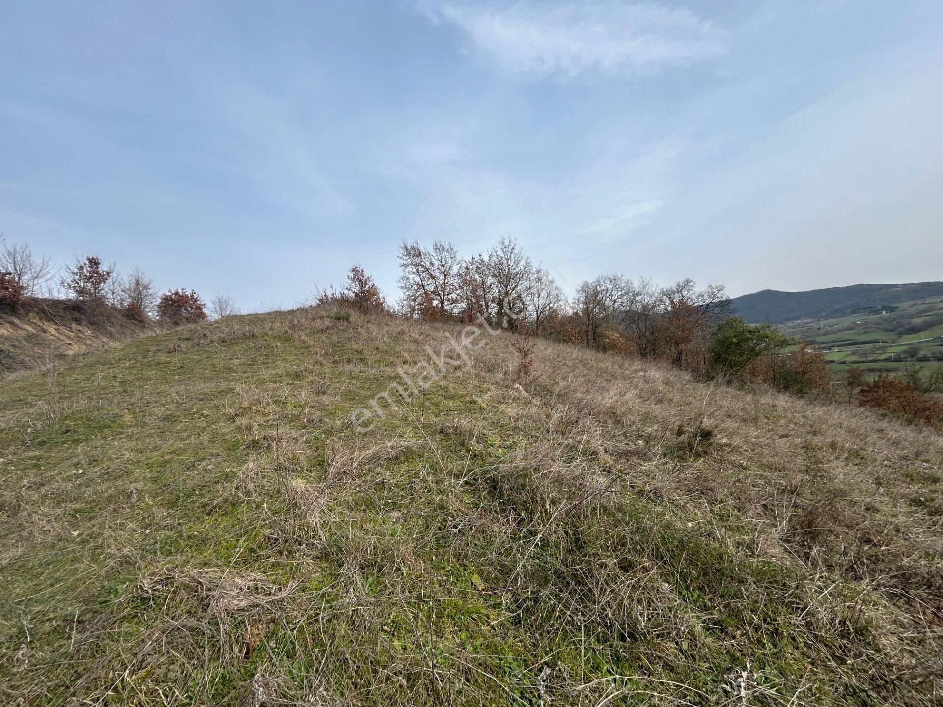 Kocaeli Karamürsel Yalakdere 3535 M2 Satılık Tarla - Görsel 8