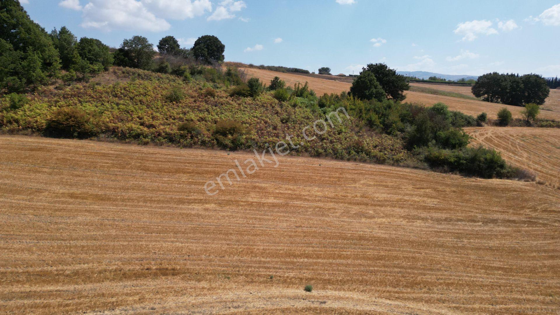 Kocaeli Karamürsel Yalakdere 13.433 M2 Satılık Tarla - Görsel 2