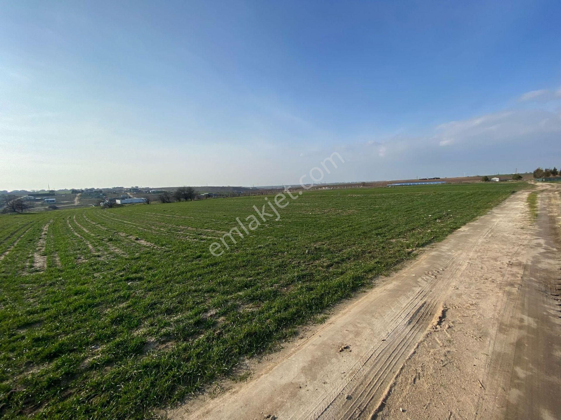 Çorlu Önerler Satılık Tarla Şok Şok Şok Acil Satılık 3,000 M2 Tek Tapu İmar Dibinde Çorlunun En Değerli Bölgesinde