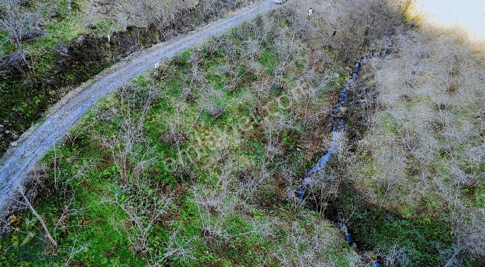 Ortahisar Bulak Satılık Tarla Trabzon Ortahisar'da Satılık Arazi