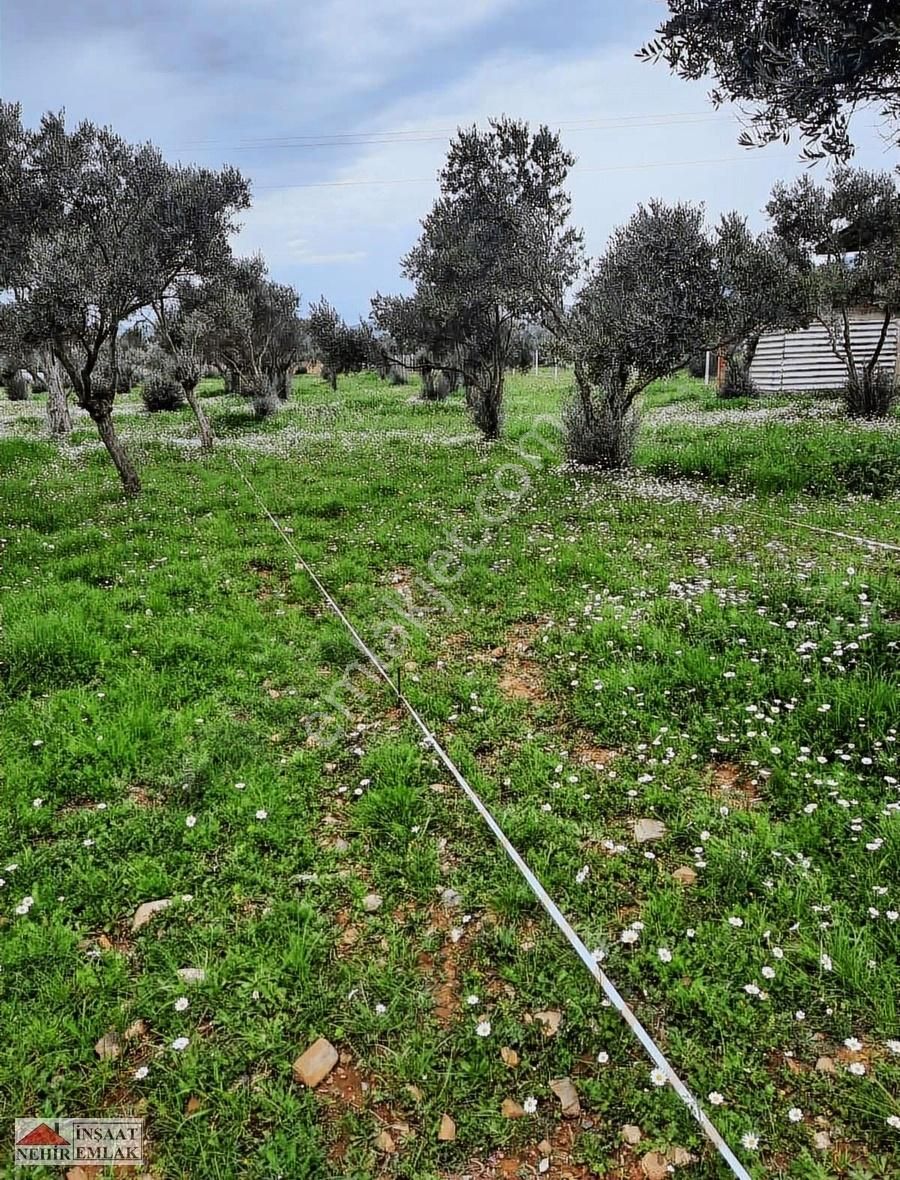 Nehir Emlak & İnşaat'tan Satılık 220 M2 Fırsat Hobi Bahçesi - Görsel 2