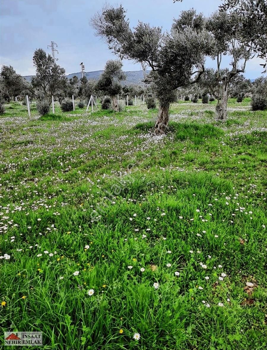 Nehir Emlak & İnşaat'tan Satılık 220 M2 Fırsat Hobi Bahçesi - Görsel 9