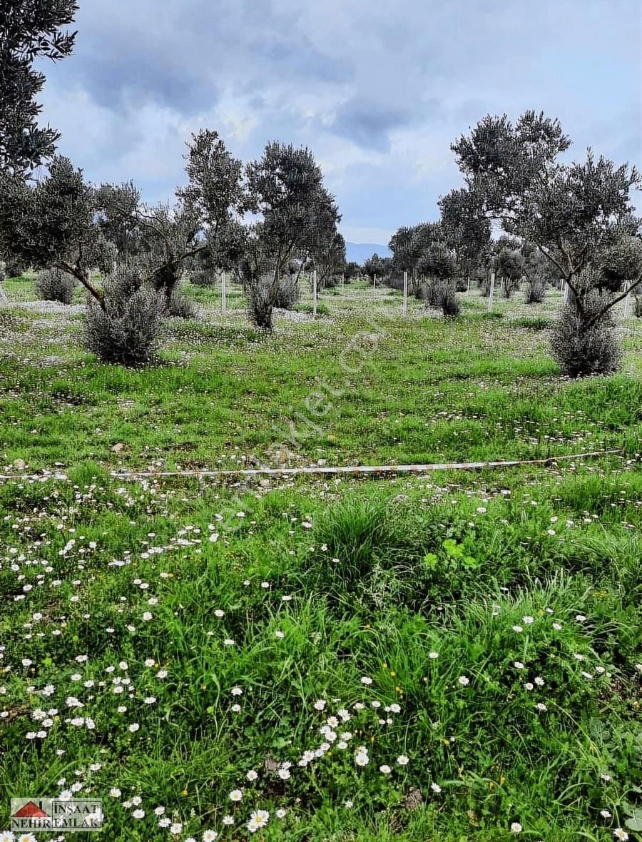 Nehir Emlak & İnşaat'tan Satılık 220 M2 Fırsat Hobi Bahçesi - Görsel 6