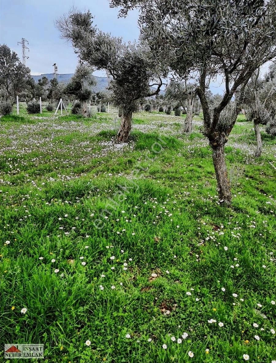 Nehir Emlak & İnşaat'tan Satılık 220 M2 Fırsat Hobi Bahçesi - Görsel 12