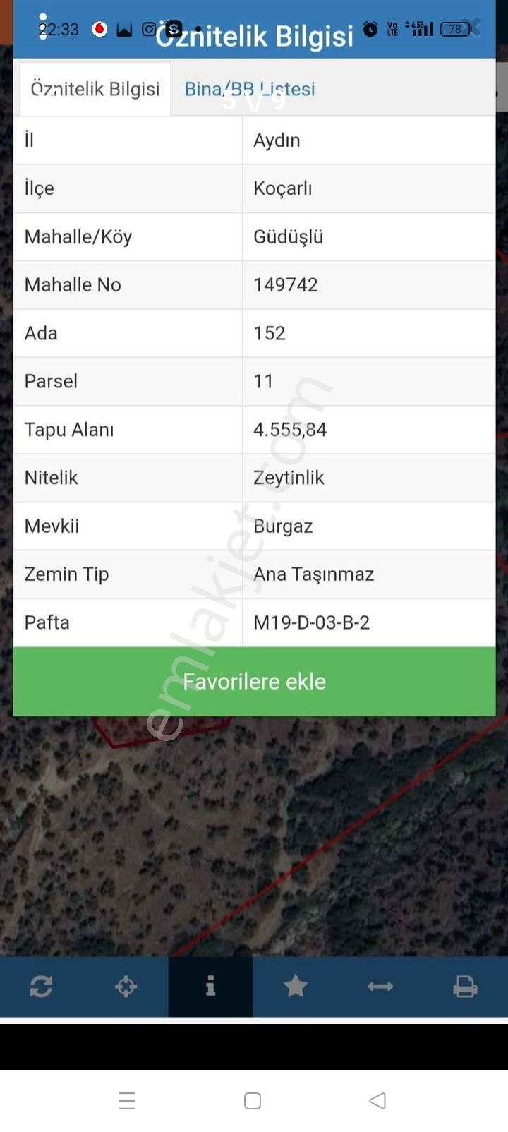 Aydın Koçarlı Güdüşiü Satılık Zeytinlik - Görsel 5
