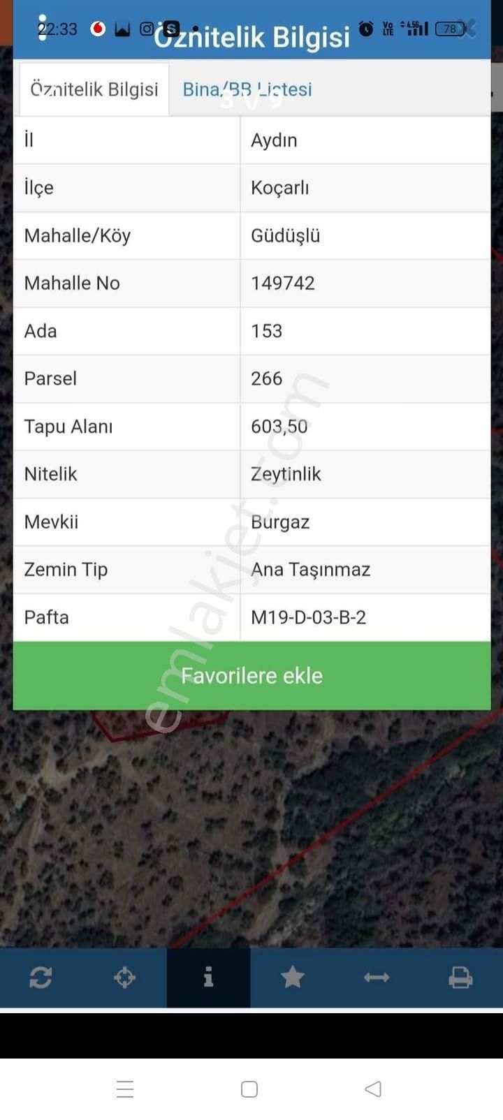 Aydın Koçarlı Güdüşiü Satılık Zeytinlik - Görsel 3