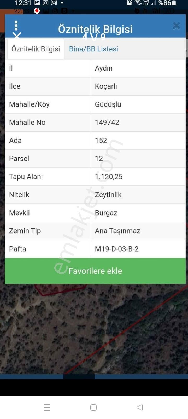 Aydın Koçarlı Güdüşiü Satılık Zeytinlik - Görsel 4