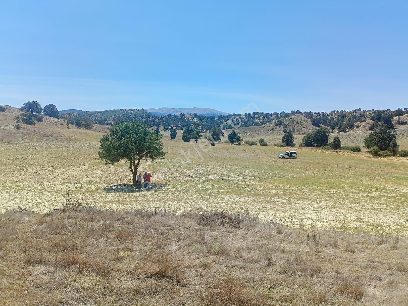 Kemer Akçaören Köyü Satılık Tarla Burdur'un Antalya'ya En Yakın İlçesi Kemer Akçaören Köyü İle Korkuteli Çomaklı Arasında 33300m2