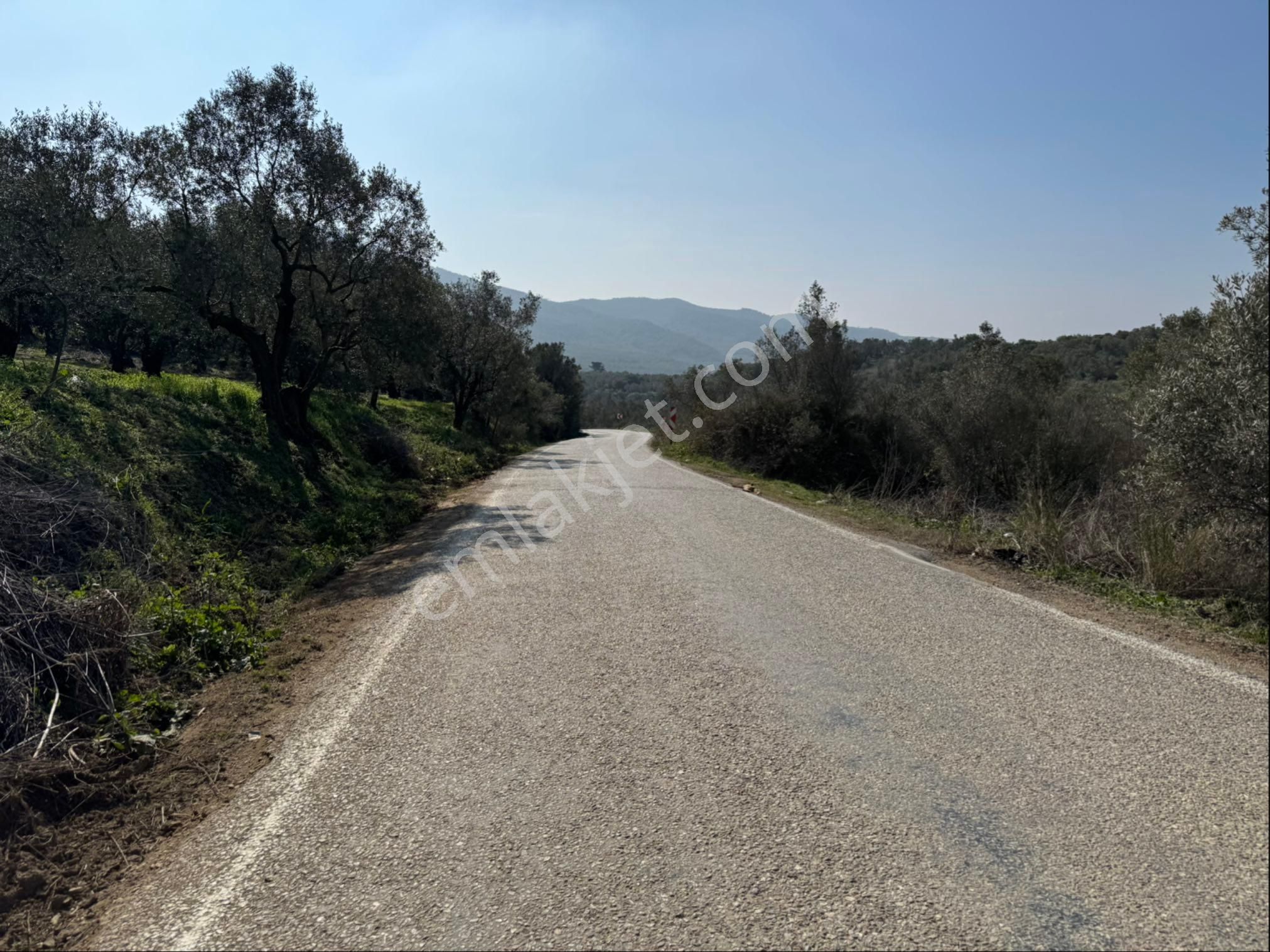 Mudanya Tirilye Satılık Tarla Mudanya Talatbeyde Satılık Yatırımlık Arazi