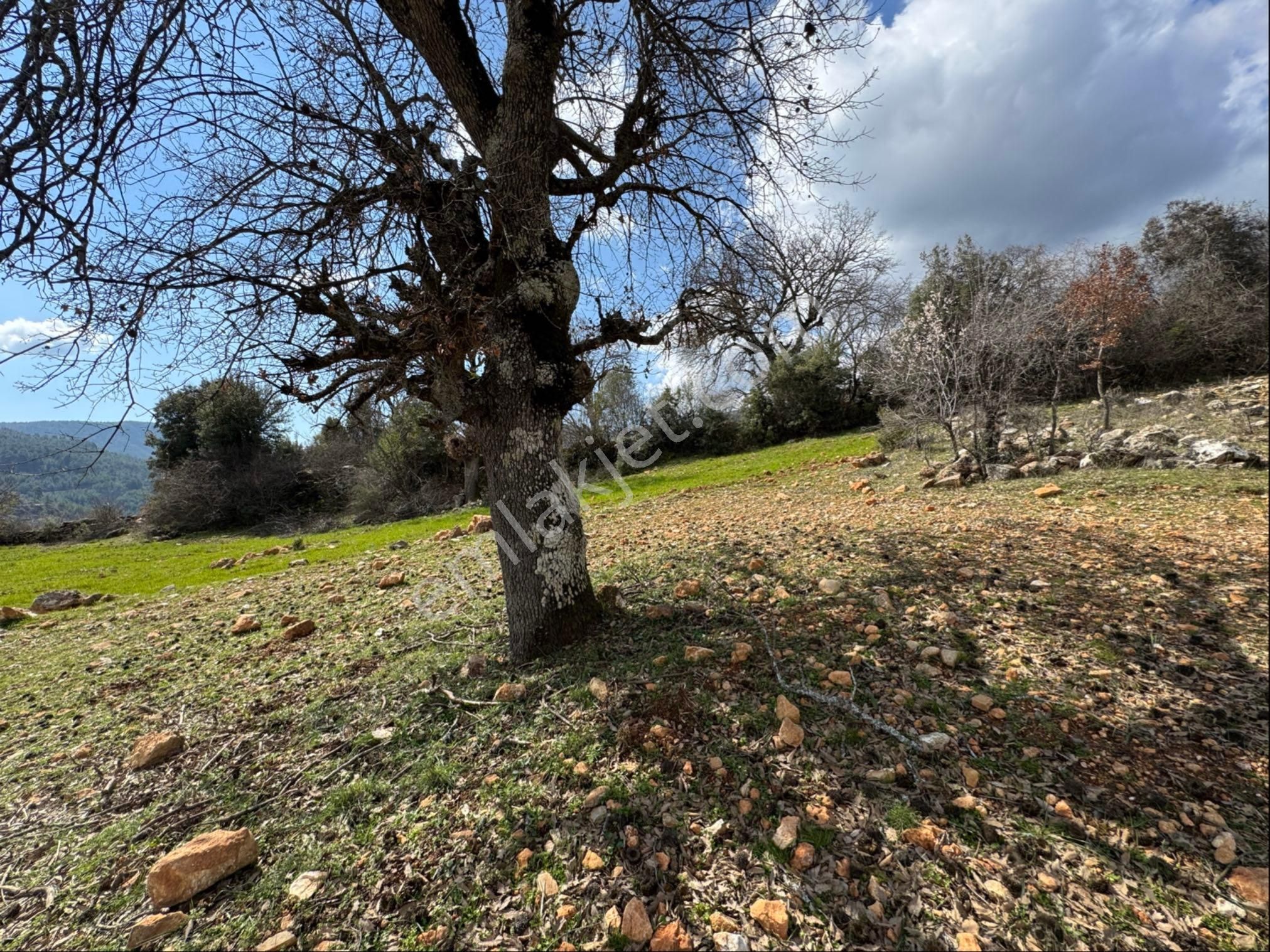 Çatakbağyaka Da Köy İçi İmarlı 520,79 M2 Manzaralı Satılık Arsa - Görsel 29