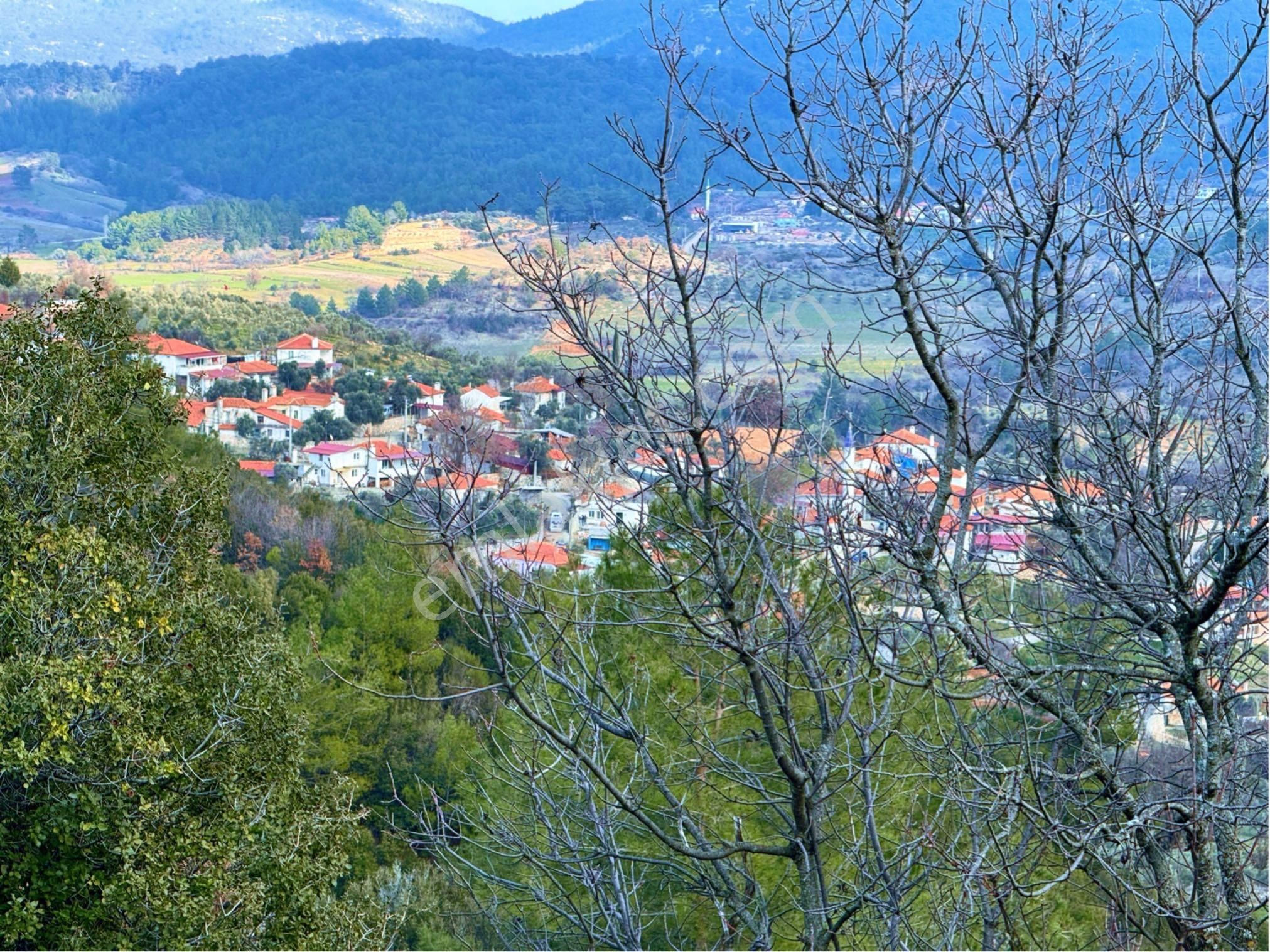 Menteşe Denizova Satılık Tarla Muğla Menteşe Denizova Mah Köy Manzaralı Resmi Yolu Olan Tarla