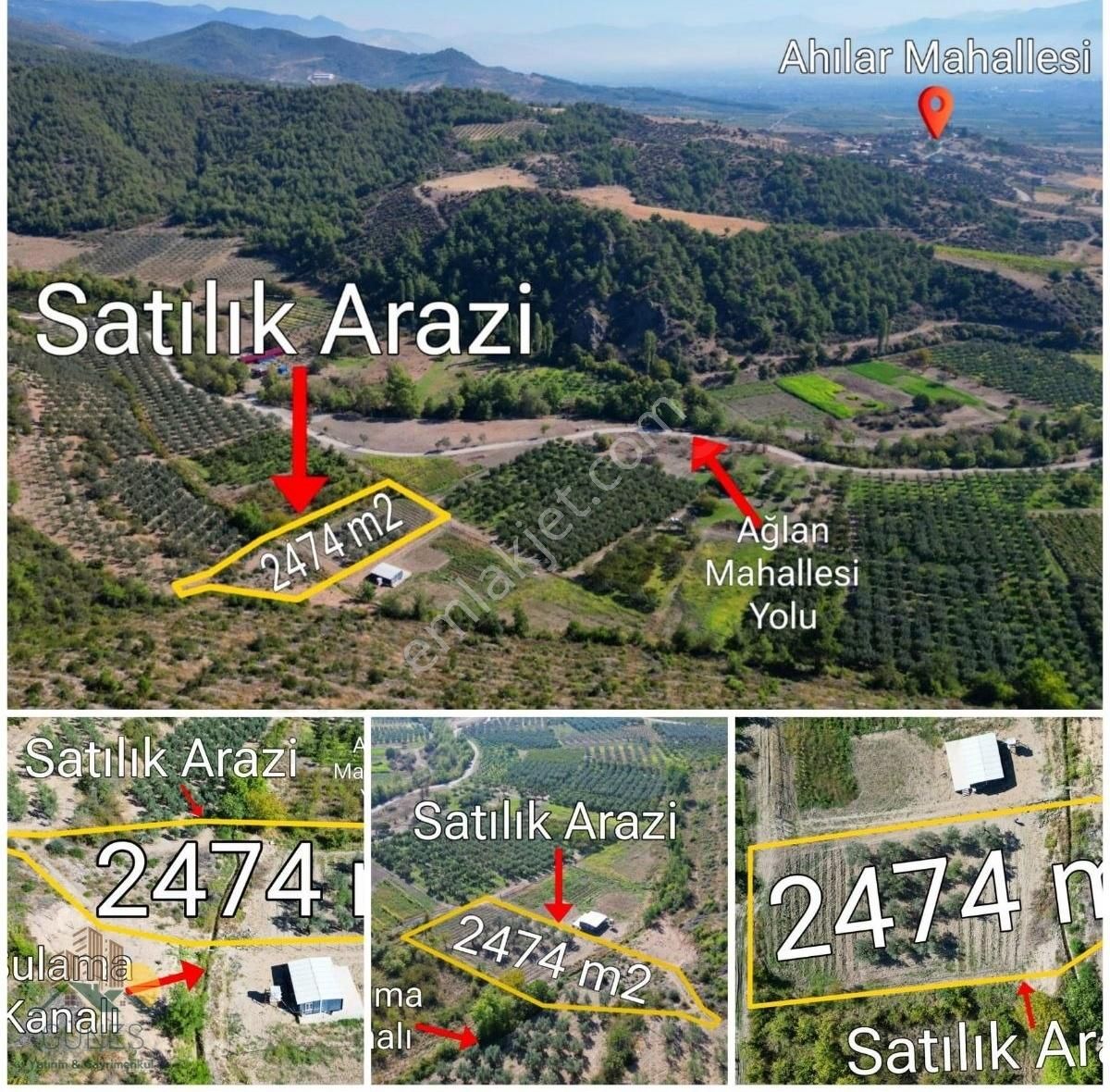 Osmaneli Ağlan Köyü Satılık Bağ & Bahçe Pamukova Ağlan Satılık 2500 M2 Hobi Bahçesi