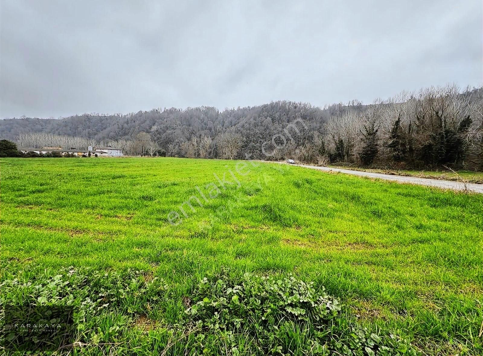 Karasu Tuzla Satılık Tarla Nehire Sıfır Yatırımlık Uygun Fiyatlı Arsa 9500 M2