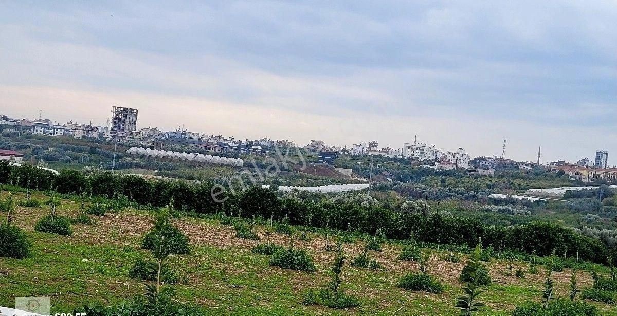 Mezitli Kaleköy Satılık Bağ & Bahçe Kılınç Gayrimenkulden Satılık Kale Mah De Yol Cepheli İmara Yakın Bahçe