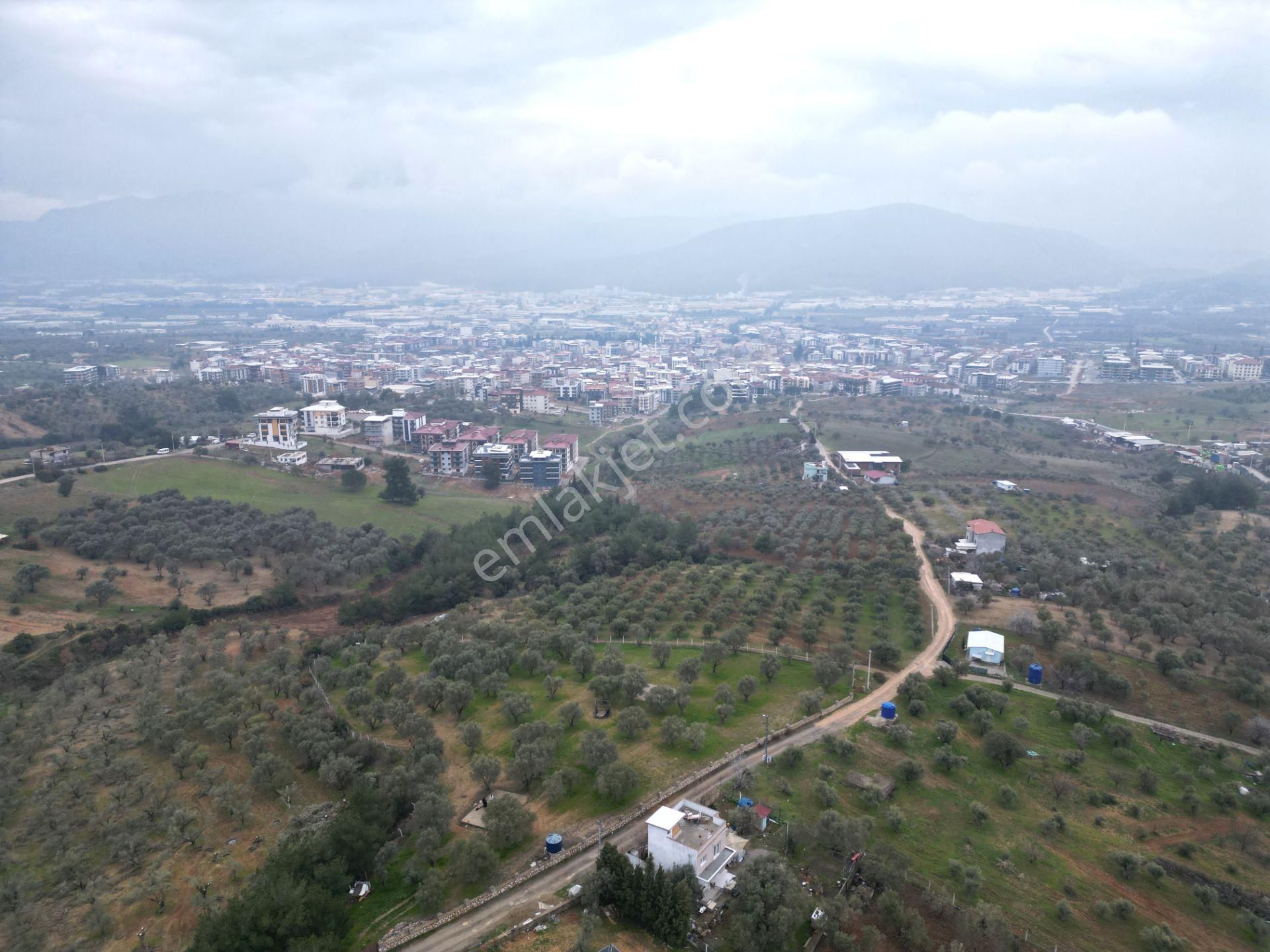 İzmir Kemalpaşa Satılık Bağ & Bahçe Kemalpaşa Ulucak’ta İmara Yakın Satılık Müstakil Bağ