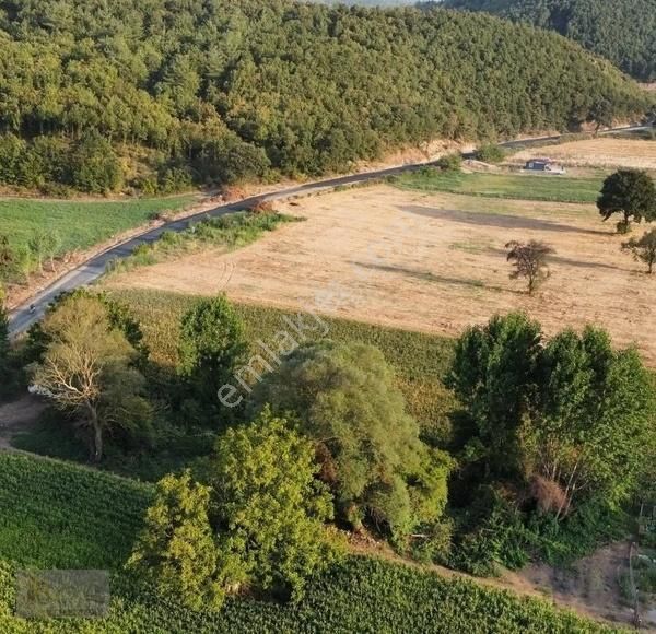 Biga Akkayrak Köyü Satılık Tarla Çanakkale-biga-akkayrak Köyün'de [ Satılık Tarla]