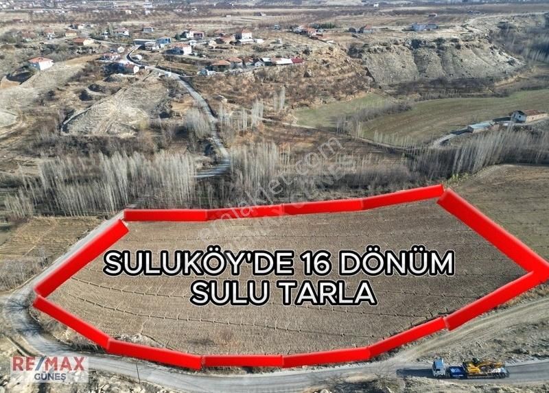 Yeşilyurt Suluköy Satılık Tarla Suluköy'de Remax Güneş'ten 16 Dönüm Sulu Tarla