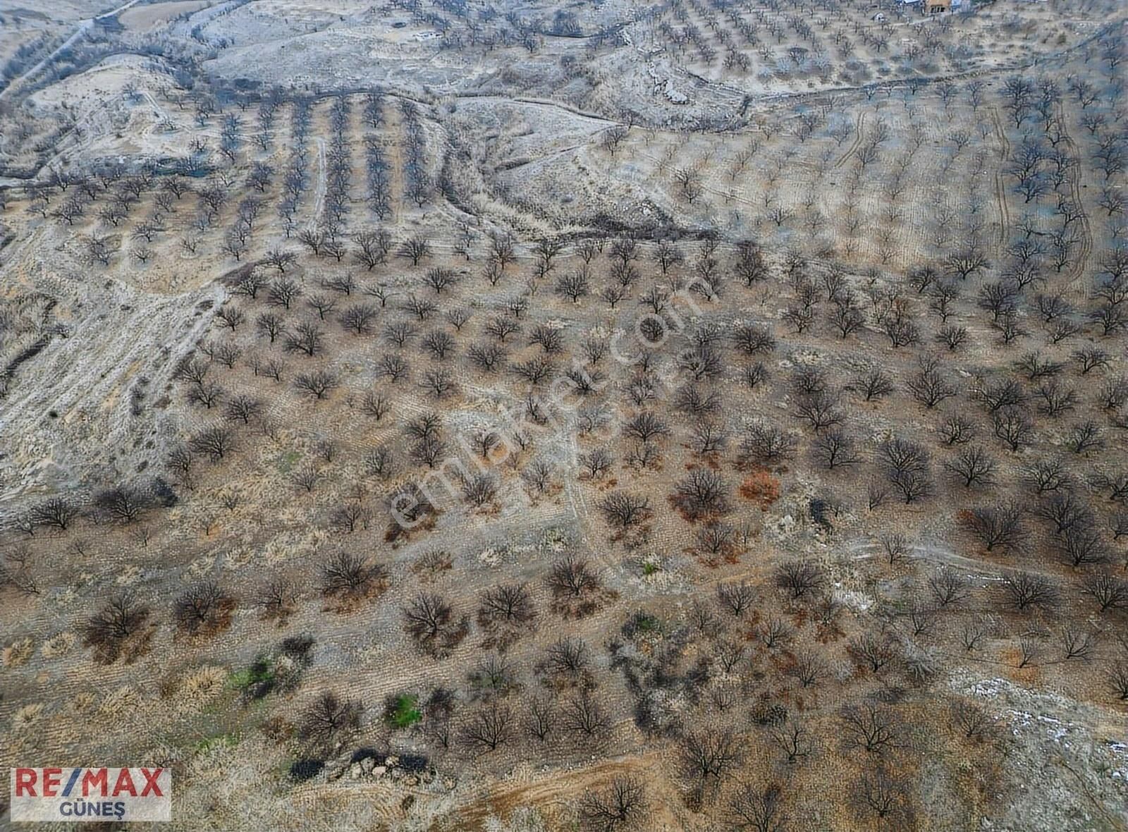 Yeşilyurt Karahan Satılık Tarla Karahan'da Satılık 20 Dönüm Re/max Güneş'ten Tarla