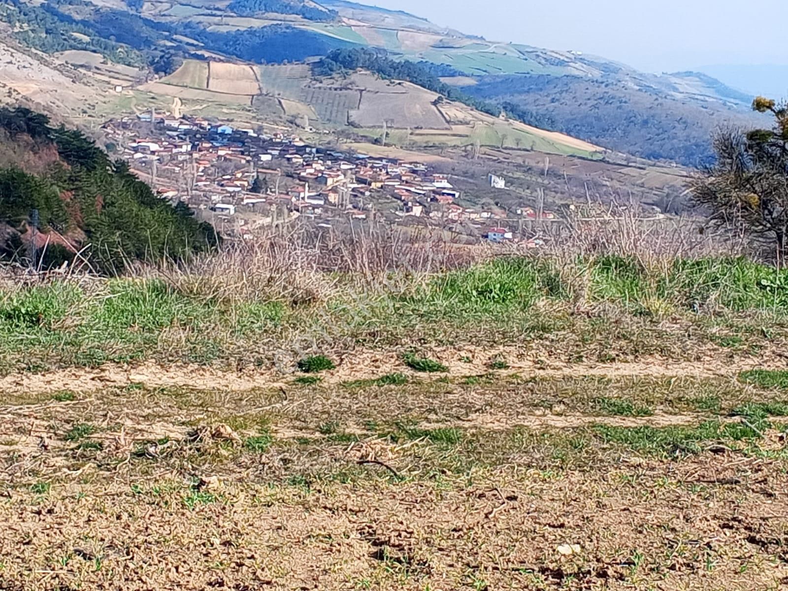 Yenişehir Mecidiye Satılık Tarla Yenişehir Mecidiyeköy De Köye 200 Metre Mesafede 4,105,m2-tarla