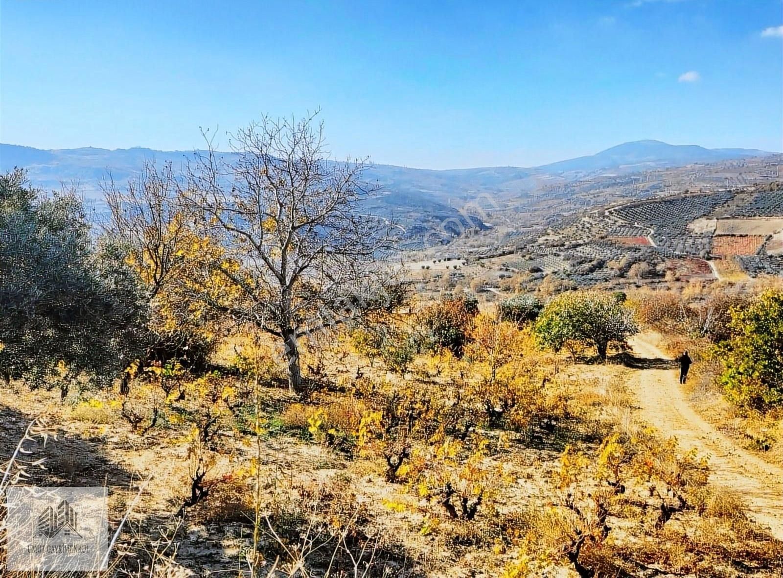 Şarköy Güzelköy Satılık Tarla Resmi Yola Cephe 2441 M2 Yatırımlık Arazi