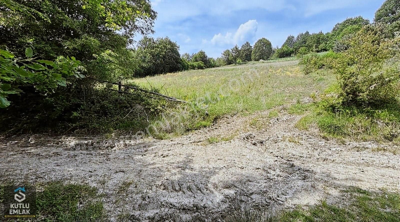 Mudurnu Gökören Köyü (Merkez) Satılık Tarla Mudurnu Gökören Köyü Satılık 2767 M2 Yol Kenarı Tarla