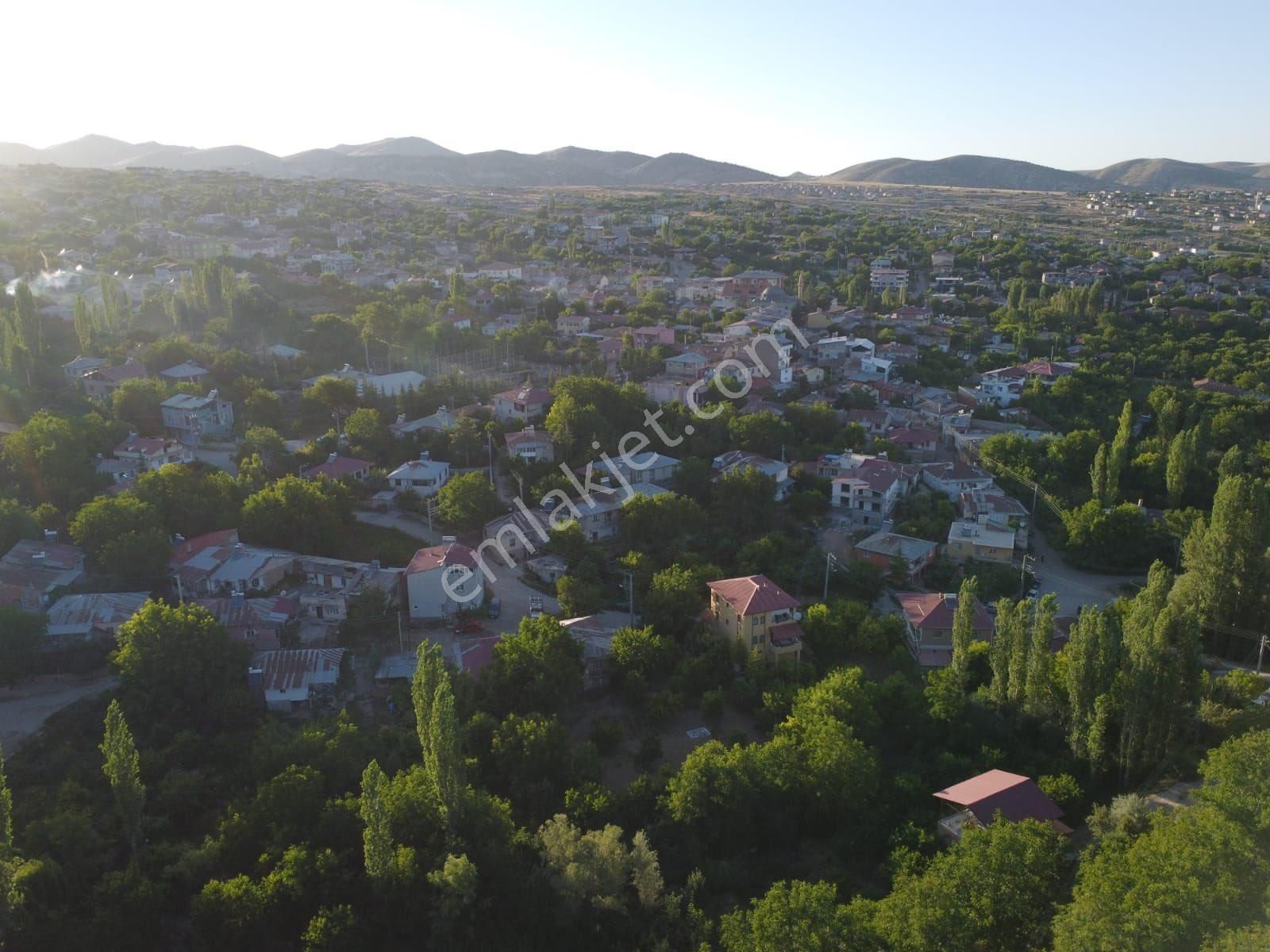 Niğde Ulukışla Satılık Bağ & Bahçe Tunç Harita Emlaktan Kılan Yaylasında Tek Tapu Kiraz Bahçesi