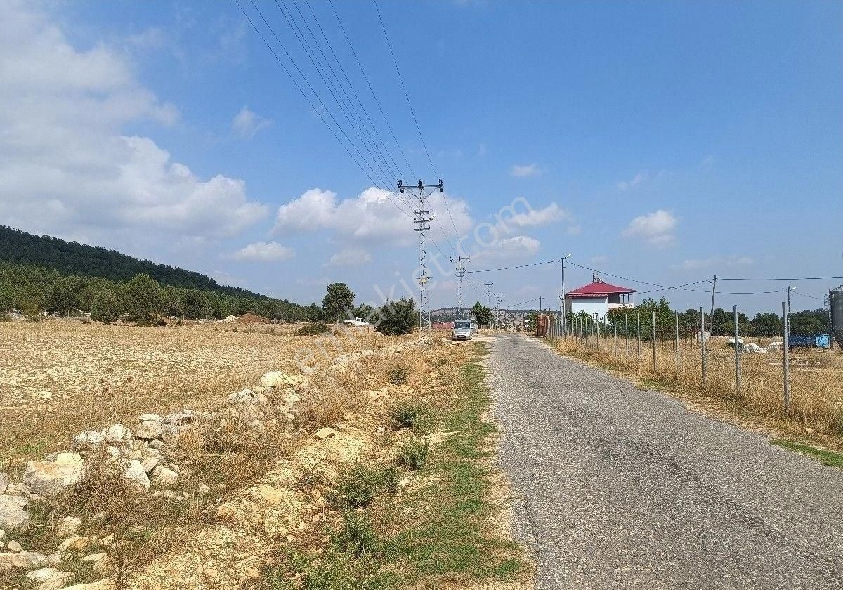 Mersin Tarsus Satılık Bağ & Bahçe Araç Takası Kupon Arsa