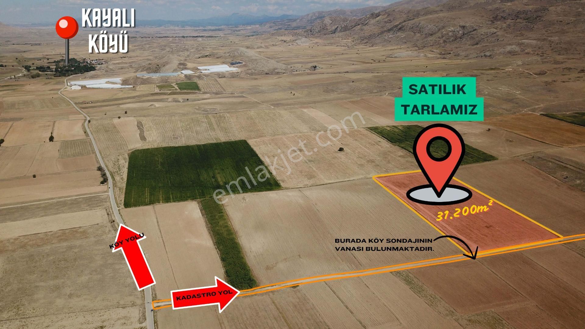 Karamanlı Kayalı Köyü Satılık Tarla Tek Tapulu Tarla 31.250 Metrekare