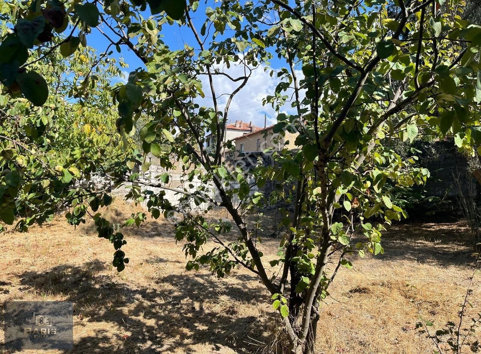 Çanakkale Ezine Akköy'de Satılık Müstakil Köy Evi - Görsel 23