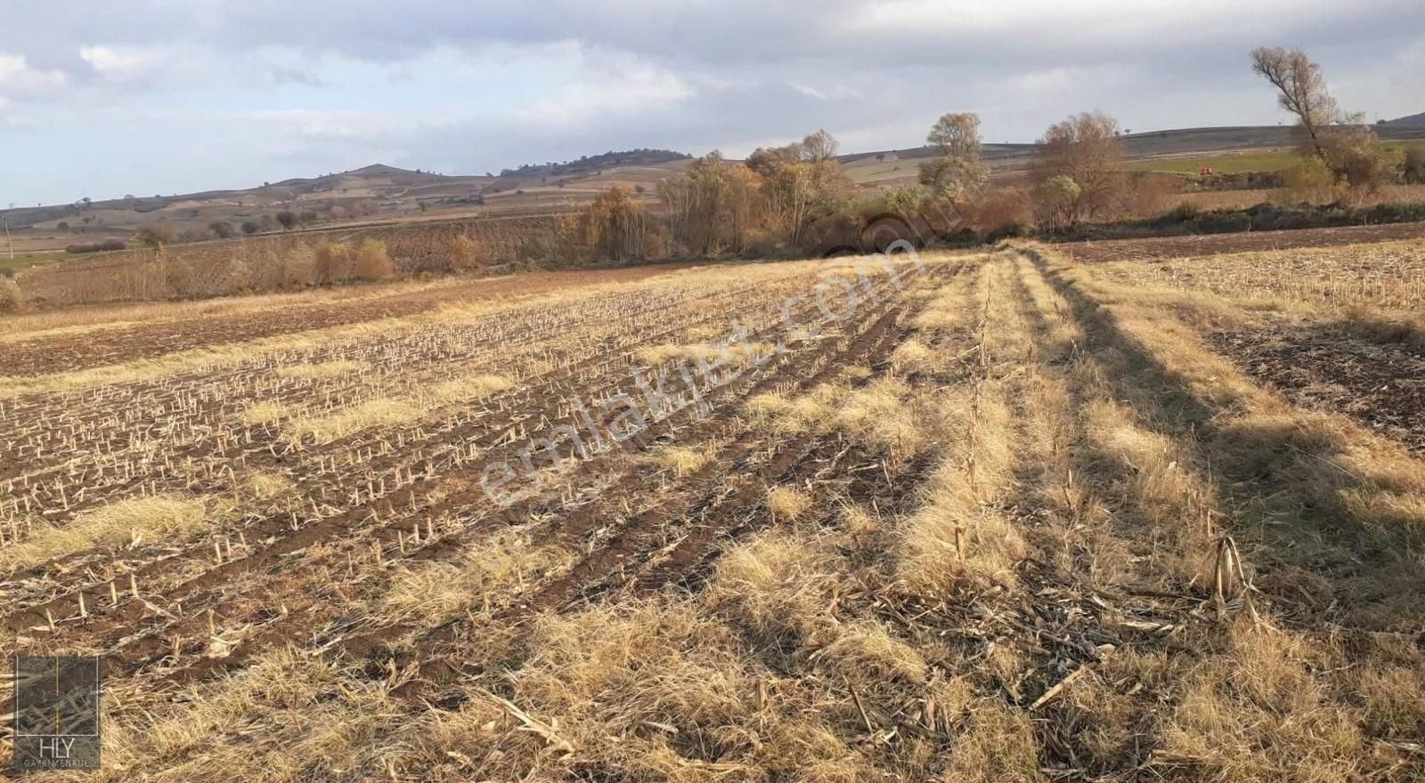 Karesi Yağcılar Satılık Tarla Hly'den Yağcılar Mh.de 4275 M2 Tarıma Uygun Tarla