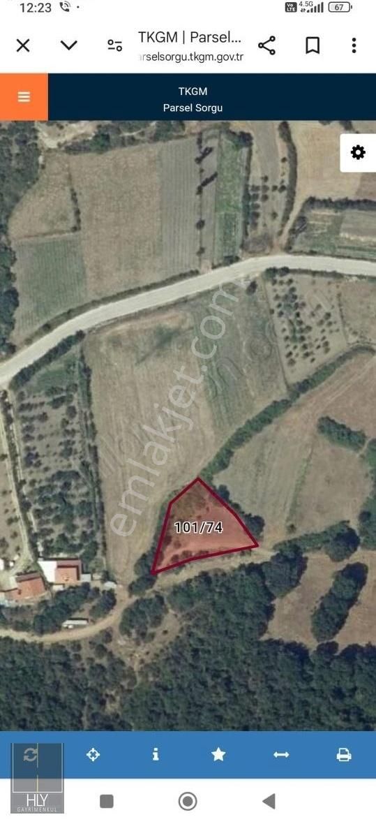 Altıeylül Taşpınar Satılık Tarla Hly Gayrimenkulden Taşpınar Mahallesinde 1178 M2 Satılık Tarla