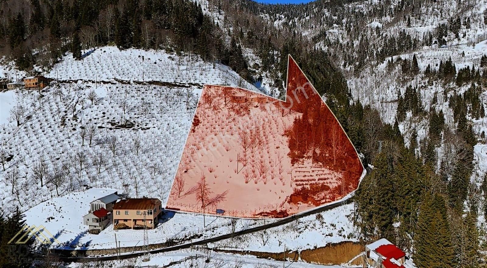 Şalpazarı Gökçeköy Satılık Tarla Trabzon Şalpazarında Satılık Araziler