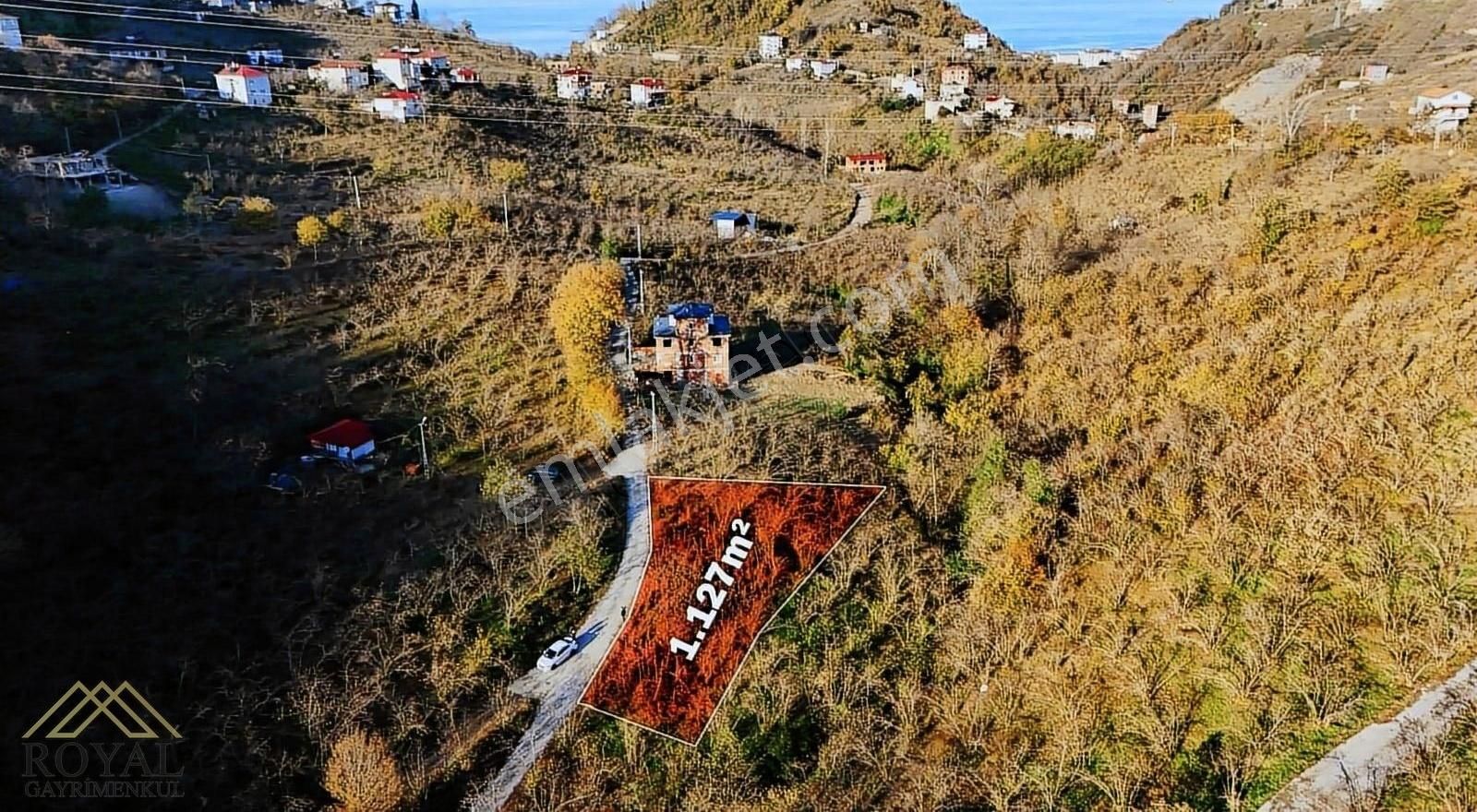 Arsin Fatih Satılık Tarla Trabzon Arsin Fatih Mahallesinde Satılık Arazi