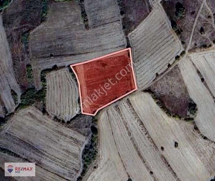 Balya Ilıca Satılık Tarla Balıkesır Balya Ilıcada 7500 M² Tarıma Uygun Arazi