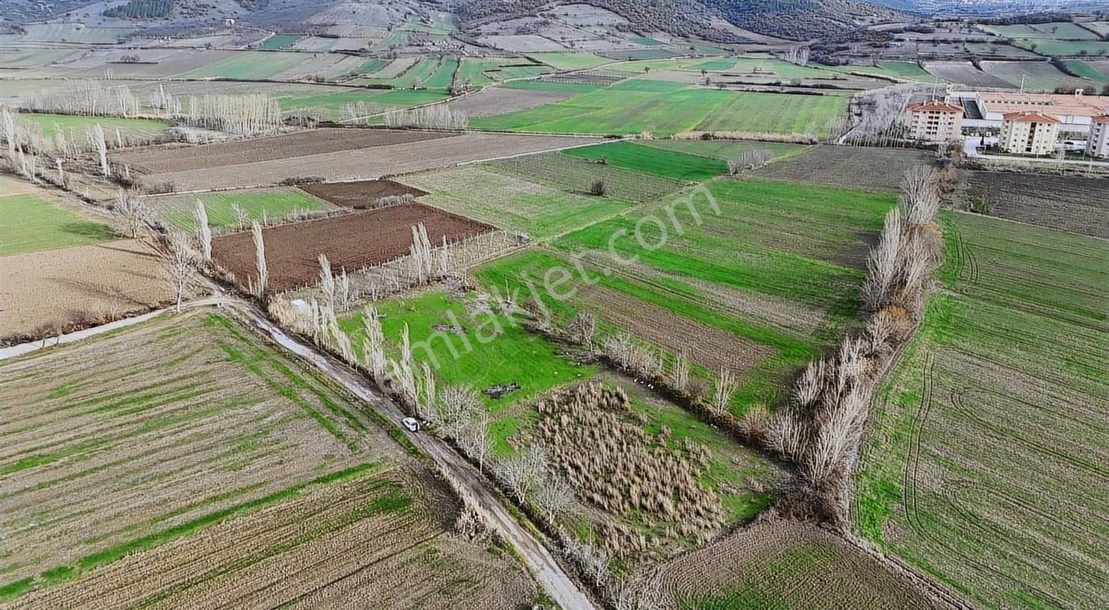 Kepsut Camiicedit Satılık Tarla Yön'den Kepsut'da Yatırıma Uygun 6097m2 Tarla