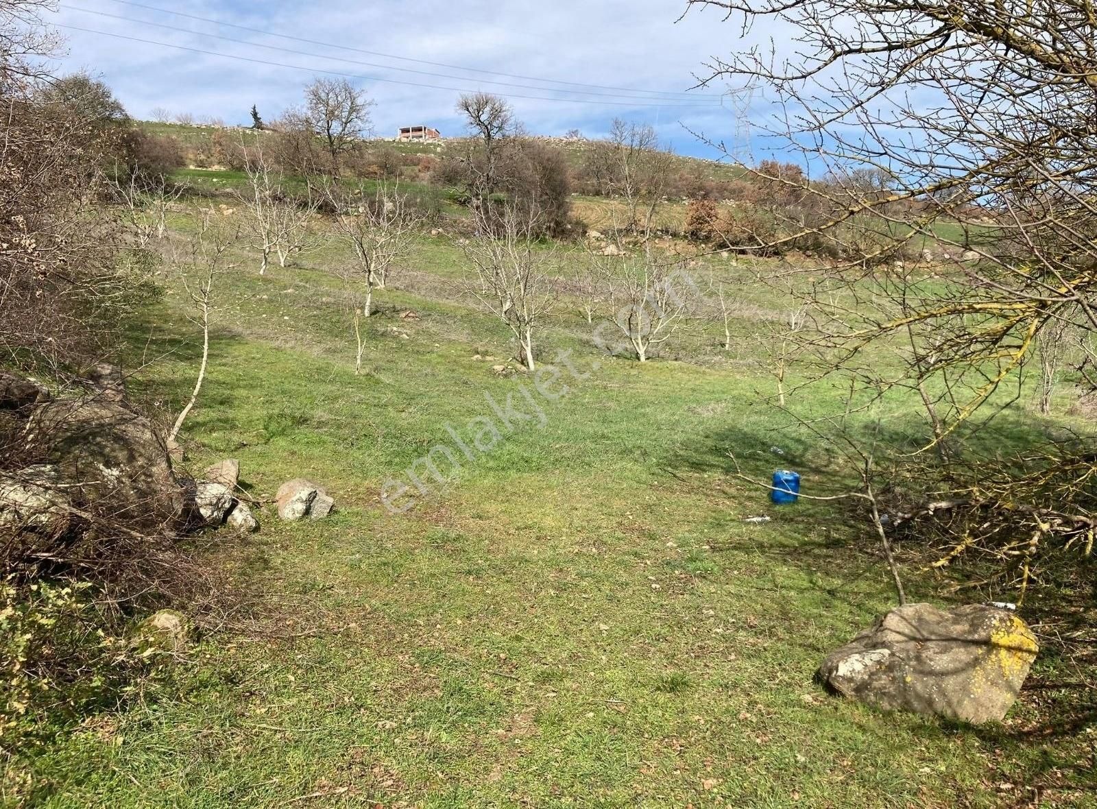 Altıeylül Akarsu Satılık Tarla Altıeylül Akarsu Mah.7.300 M2 Satılık Bahçe Nitelikli Arazi.