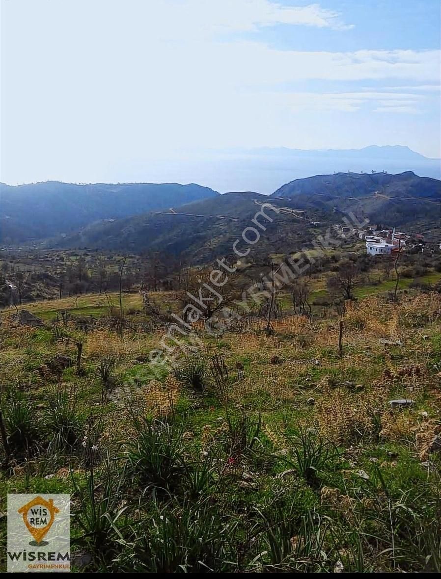 Beykoz Anadolufeneri Satılık Tarla İstanbul Beykoz Anadolu Fenerin De Satılık Tarla